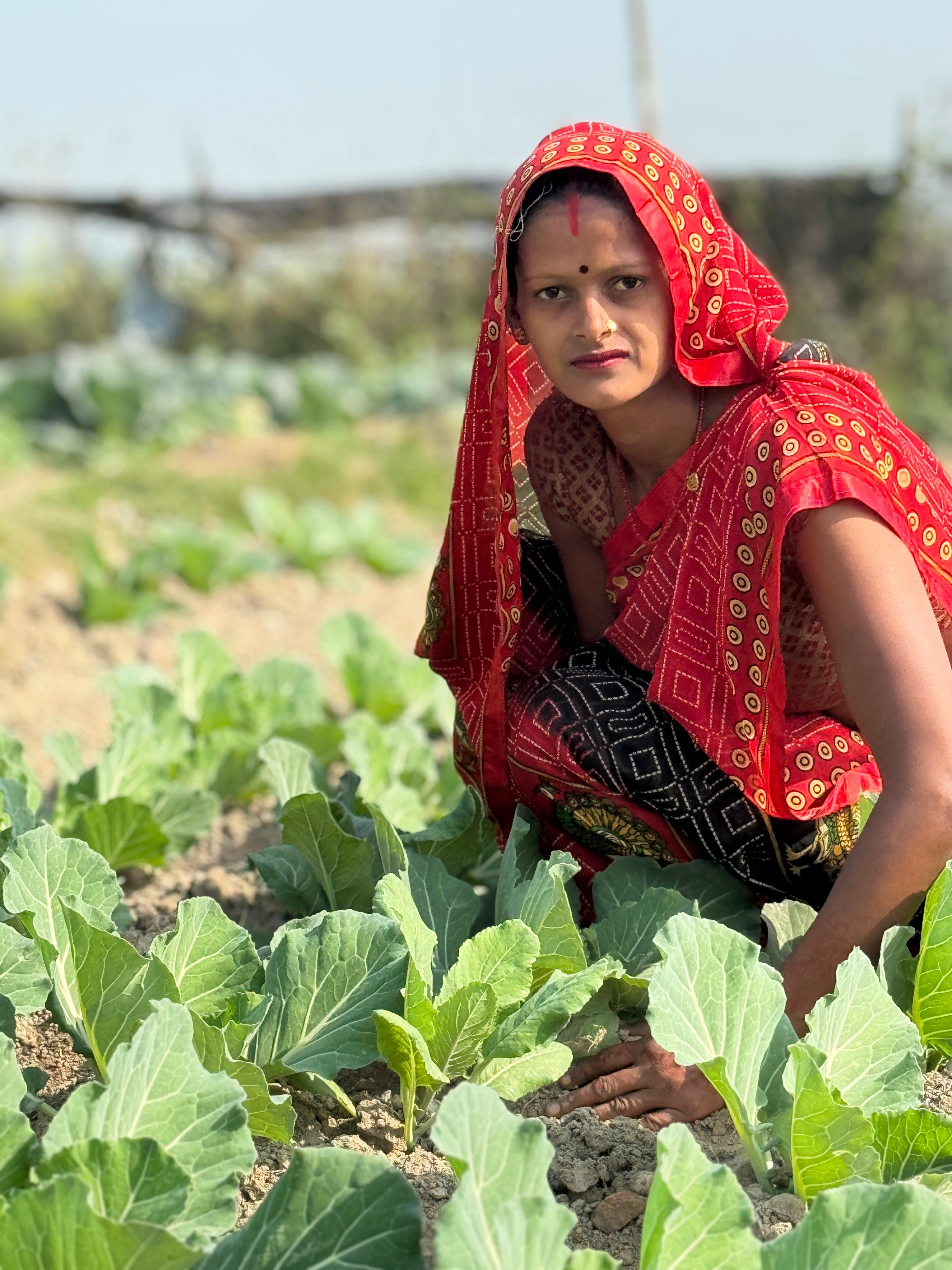 Transforming Lives Through Nutrition (TLTN)